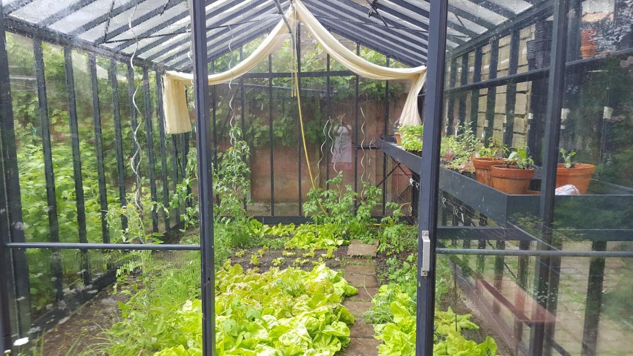 B&B Eenvoud In Overvloed Vleteren Esterno foto